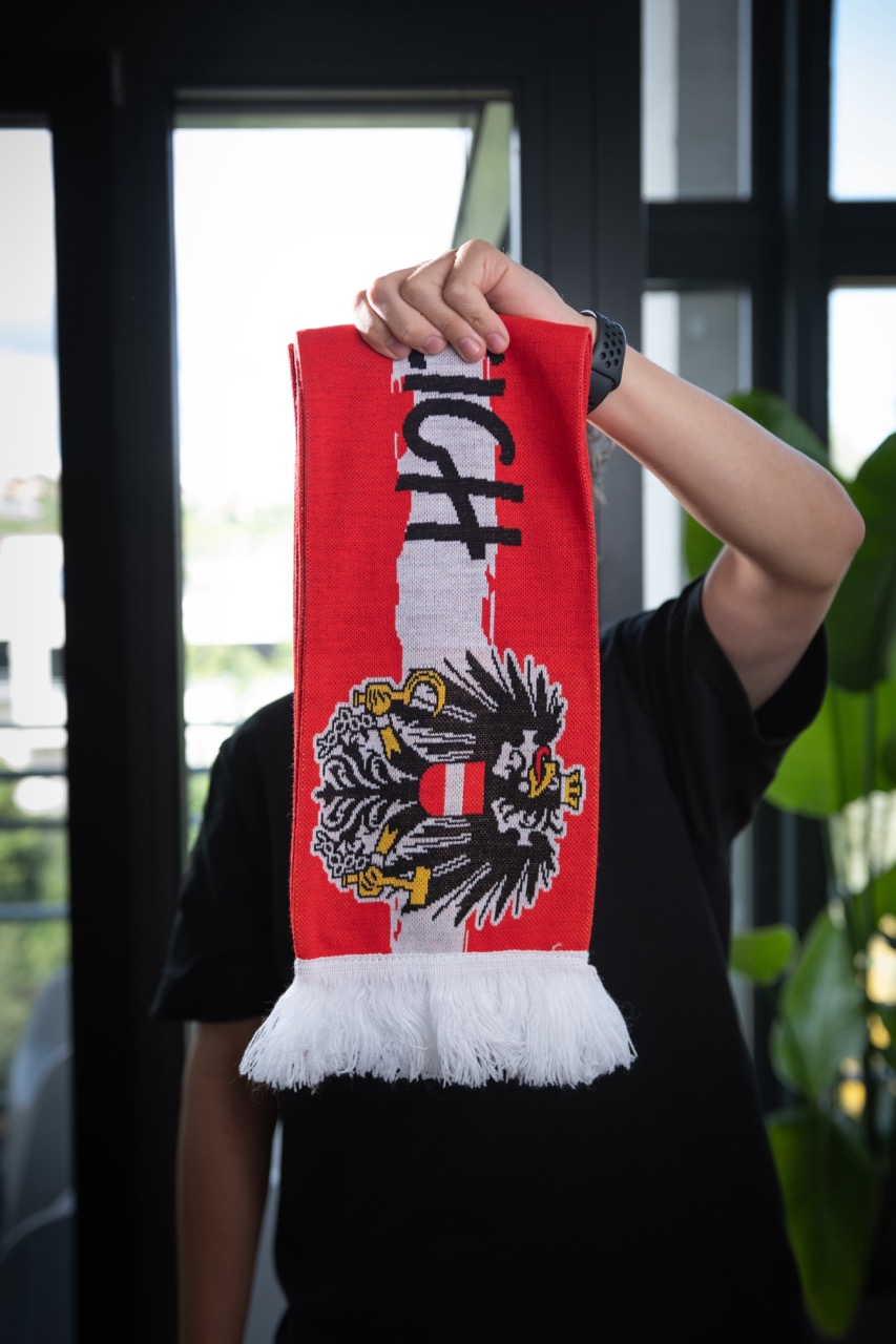 Hochwertige Logowebung